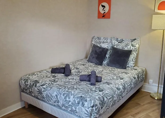 Charmant T2 Spacieux Idealement Situe - 2 Chambres *