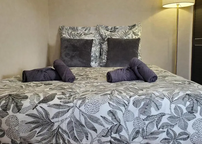 Charmant T2 Spacieux Idealement Situe - 2 Chambres